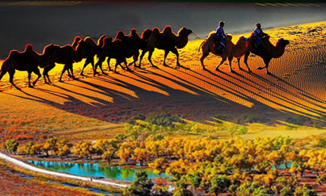 纵情南北风·南北疆全景体验之旅 双飞12日游/双卧14日游