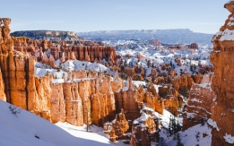 （美国东西海岸）纽约华盛顿费城洛杉矶拉斯维加斯圣地亚哥墨西哥蒂华纳12日   华