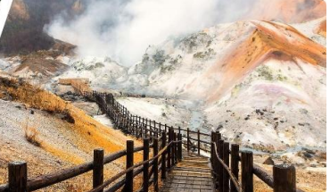 北海道仲夏夜紫色的梦7日游