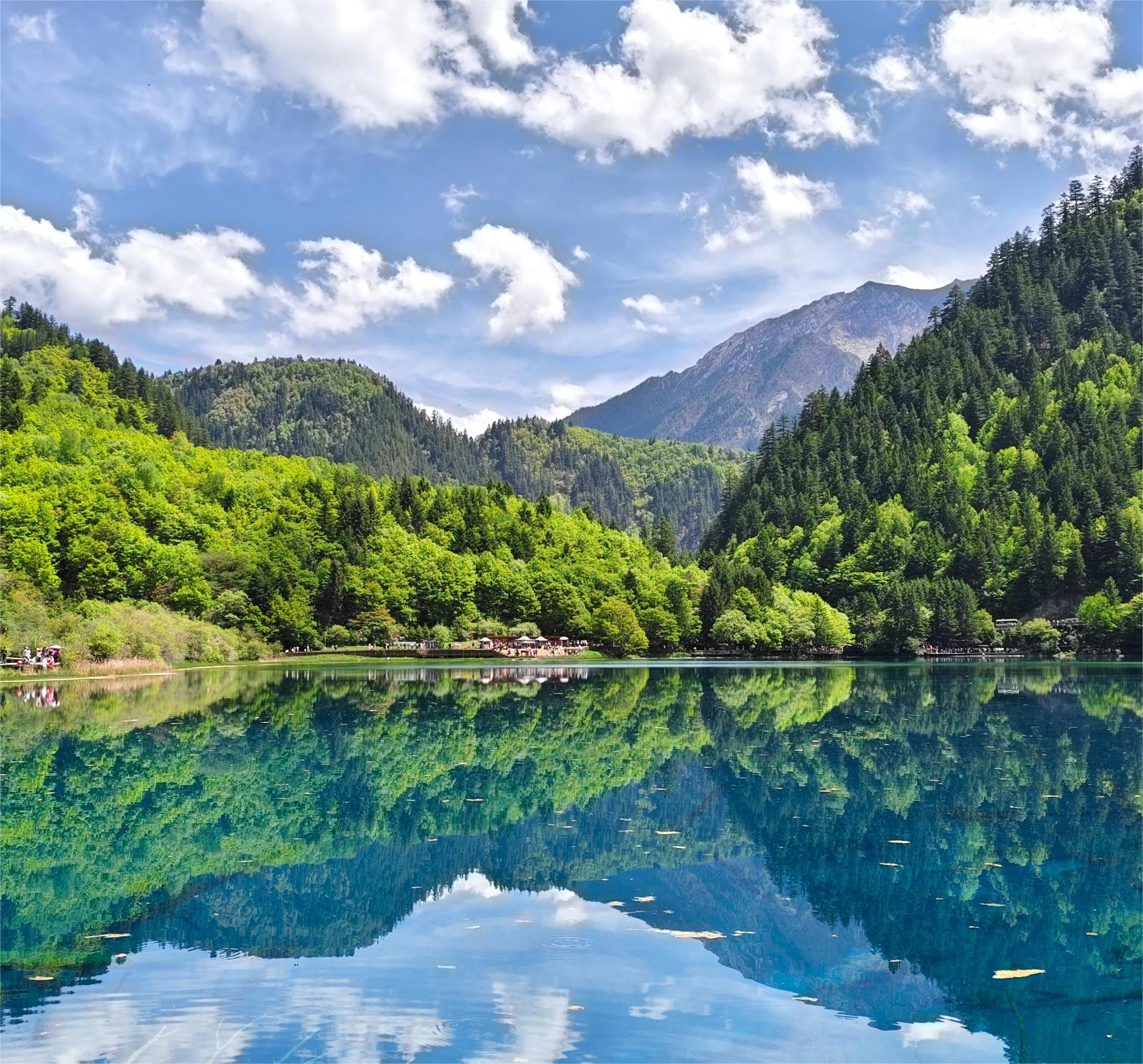 【纯玩九寨】A线淳雅九黄熊或B线堰雅九黄都 纯玩三日游（环）