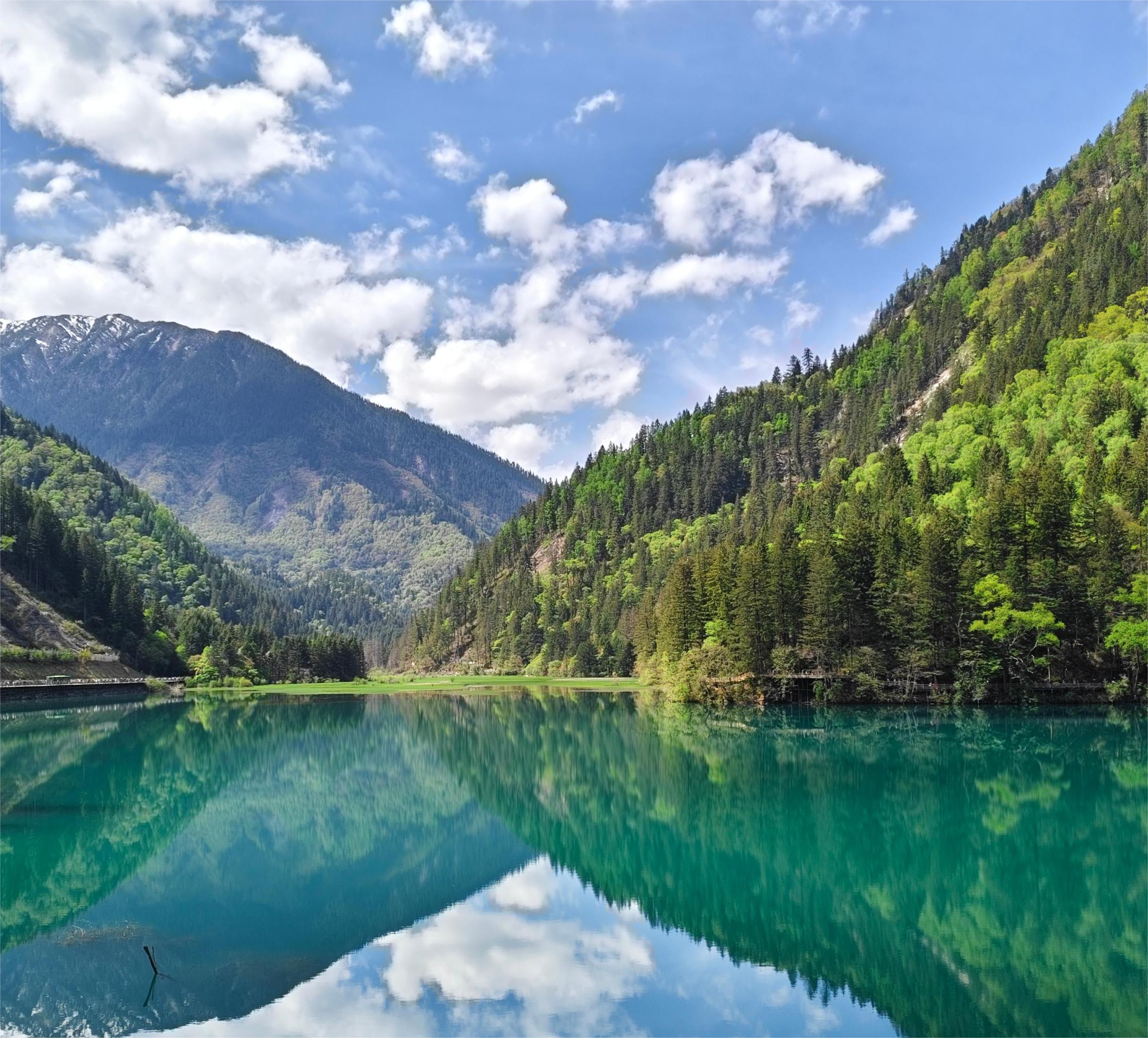 寨生情缘九黄+熊猫乐园纯玩三日游（悠）