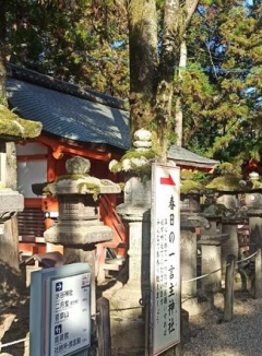 全程日式五星+京都嵯峨野小火车东京一天自由活动本州七日游