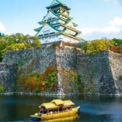 日本本州梦幻米奇