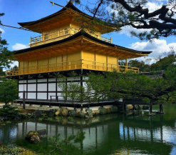 日本轻奢之旅7日