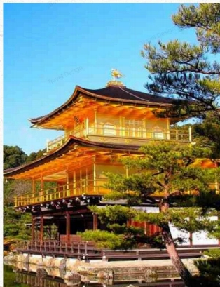 轻奢假期 夏日之约·青之交响曲日本轻奢之旅7日