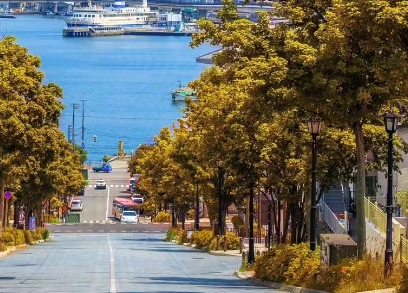 全景北海道深度 9 天 8 晚