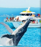 斯里兰卡5晚7天4人纯玩小团