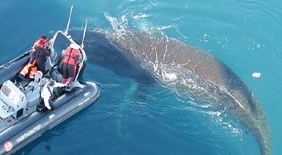 2024-2025南森/阿蒙森号 A线：南极半岛+阿根廷16天12晚经典南极之旅