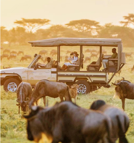 奇幻非洲大自然迁徙季特约系列6国20天