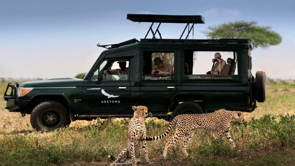 肯尼亚&坦桑尼亚13天跨境野生探险之旅