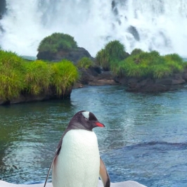 南极南美邮轮 22天|阿根廷-乌拉圭-智利-巴西