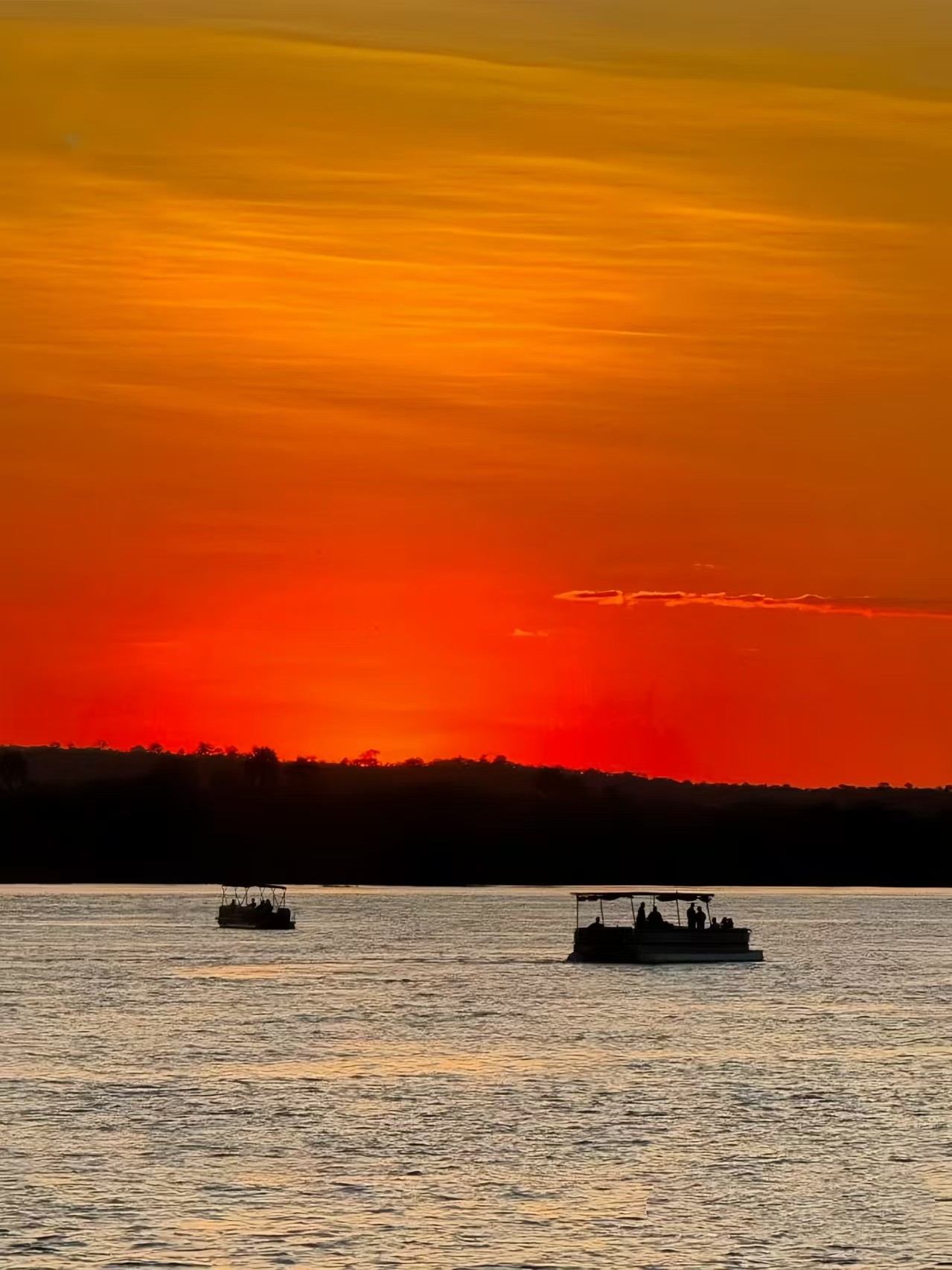 传奇树顶精品肯尼亚动物大迁徙10日